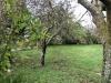 Casa indipendente in vendita con giardino a Castell'Azzara - 09