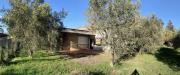 Villa in vendita con giardino a Sorano - 10