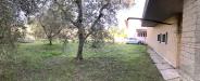 Villa in vendita con giardino a Sorano - 04