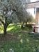 Villa in vendita con giardino a Sorano - 07