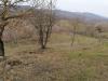 Terreno in vendita con giardino a Sorano - 05