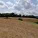 Terreno in vendita a Manciano - 09