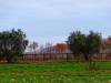 Terreno in vendita a Sorano - 04