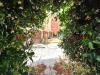 Villa in vendita a Roma - 07, ESTERNO 6.jpeg