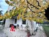 Casa indipendente in vendita con giardino a Montecassiano in via cavour 14 - 03, Foto 3