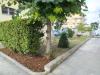 Appartamento in vendita con giardino a Fermo in viale trento 85/a - 03, Foto 3