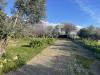 Appartamento in vendita a Cerveteri - 02, IMG_4461.JPEG