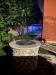 Villa in vendita con giardino a Avezzano - 09, WhatsApp Image 2024-10-03 at 17.46.39 (1).jpeg