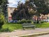 Rustico in vendita a Avezzano - 10, WhatsApp Image 2025-08-29 at 11.12.57 (9).jpeg