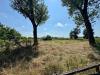 Rustico in vendita con giardino a Mortara - 07, WhatsApp Image 2025-07-30 at 16.54.25.jpeg
