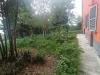 Appartamento in vendita a Mortara - 03, WhatsApp Image 2026-09-29 at 10.05.51.jpeg