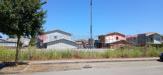 Terreno Edificabile in vendita a Cologna Veneta - 02, Immagine WhatsApp 2025-07-09 ore 15.04.57_054c2bad