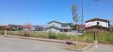 Terreno Edificabile in vendita a Cologna Veneta - 05, Immagine WhatsApp 2025-07-09 ore 15.04.57_b81782d1