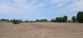 Terreno Agricolo in vendita a Cologna Veneta - 07, 1000014739.jpg