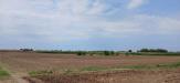 Terreno Agricolo in vendita a Cologna Veneta - 03, 1000014730.jpg