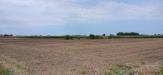 Terreno Agricolo in vendita a Cologna Veneta - 05, 1000014732.jpg