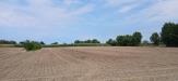 Terreno Agricolo in vendita a Cologna Veneta - 08, 1000014740.jpg