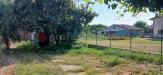Casa indipendente in vendita da ristrutturare a Zimella - 03, Immagine WhatsApp 2025-08-05 ore 12.02.52_3039a283