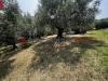 Terreno Agricolo in vendita a Verona - 10, IMG_5421.jpg