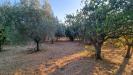 Villa in vendita con giardino a Gallicano nel Lazio - 06, 20250802_193621.jpg