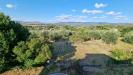 Villa in vendita con giardino a Gallicano nel Lazio - 07, 20250802_181544.jpg