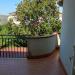 Villa in vendita con giardino a Santa Marinella - 10, 19.jpeg