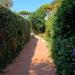 Villa in vendita con giardino a Santa Marinella - 02, 7.jpeg