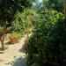 Villa in vendita con giardino a Santa Marinella - 06, 33.jpeg