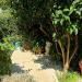 Villa in vendita con giardino a Santa Marinella - 07, 35.jpeg
