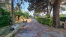Villa in vendita con giardino a Gallicano nel Lazio - 03, 20250802_183920.jpg