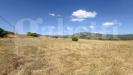 Terreno Agricolo in vendita a Olbia - 07, Viste