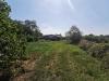 Terreno Edificabile in vendita a Nogara - 08, Immagine WhatsApp 2023-09-02 ore 12.02.42..jpg