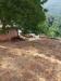 Villa in vendita con giardino a Pereto - 04, giardino con passaggio carrabile.jpg