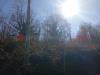 Terreno Edificabile in vendita a Riofreddo - 04, terreno edificabile (2).jpg