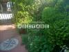 Casa indipendente in vendita con giardino a Rosignano Marittimo - gabbro - 04