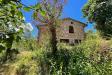 Rustico in vendita con giardino a San Gimignano - 05