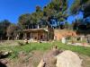 Casa indipendente in vendita con giardino a Bibbona - 04