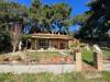 Casa indipendente in vendita con giardino a Bibbona - 05