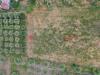 Terreno Agricolo in vendita a Capaccio - 10, 10-min.jpg