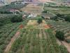 Terreno Agricolo in vendita a Capaccio - 08, 8-min.jpg