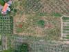Terreno Agricolo in vendita a Capaccio - 09, 9-min.jpg