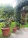 Rustico in vendita con giardino a Massarosa - bozzano - 06