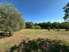 Terreno Agricolo in vendita a Castel Sant'Elia - 06, 036775d7-a26e-470a-a76f-8c0c9ce79c61.jpg