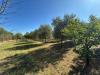 Terreno Agricolo in vendita a Castel Sant'Elia - 08, 281c8dcd-4ad1-4712-b402-f2dc9b5ef46a.jpg