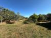 Terreno Agricolo in vendita a Castel Sant'Elia - 07, 1eb01a12-8c82-4570-af03-f63db9b691e0.jpg