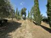 Villa in vendita a Castel Sant'Elia - 02, IMG_7249.jpg