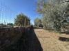 Terreno Agricolo in vendita a Castel Sant'Elia - 06, IMG_9569.jpeg