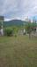 Villa in affitto con giardino a Bore in localit silva - 05, Foto 5