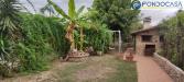Casa indipendente in vendita con giardino a Seravezza in via frasso - 07, esterno
