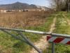 Terreno in vendita a Pisa - la vettola - 04